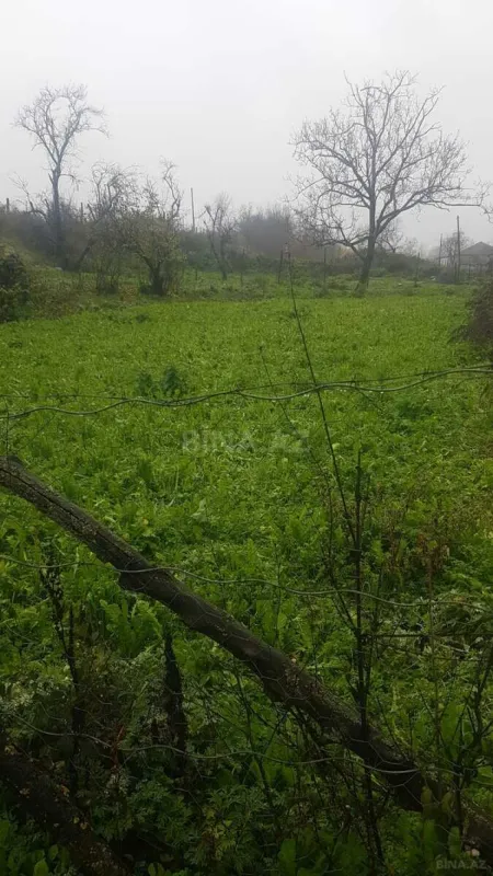 Satılır torpaq sahəsi 32 m²