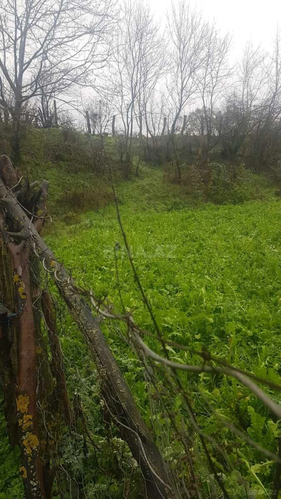 Satılır torpaq sahəsi 32 m²