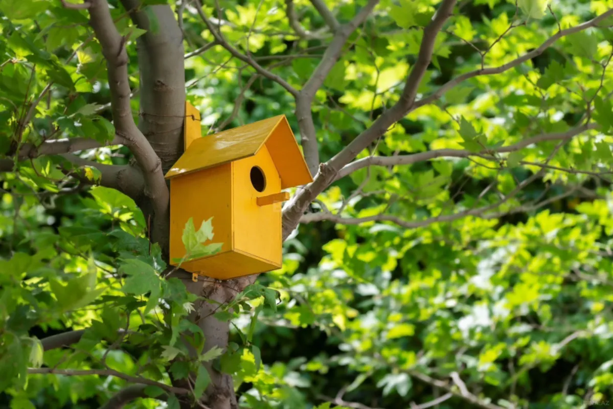 Kirayə verilir 3 otaqlı mənzil 170 m²