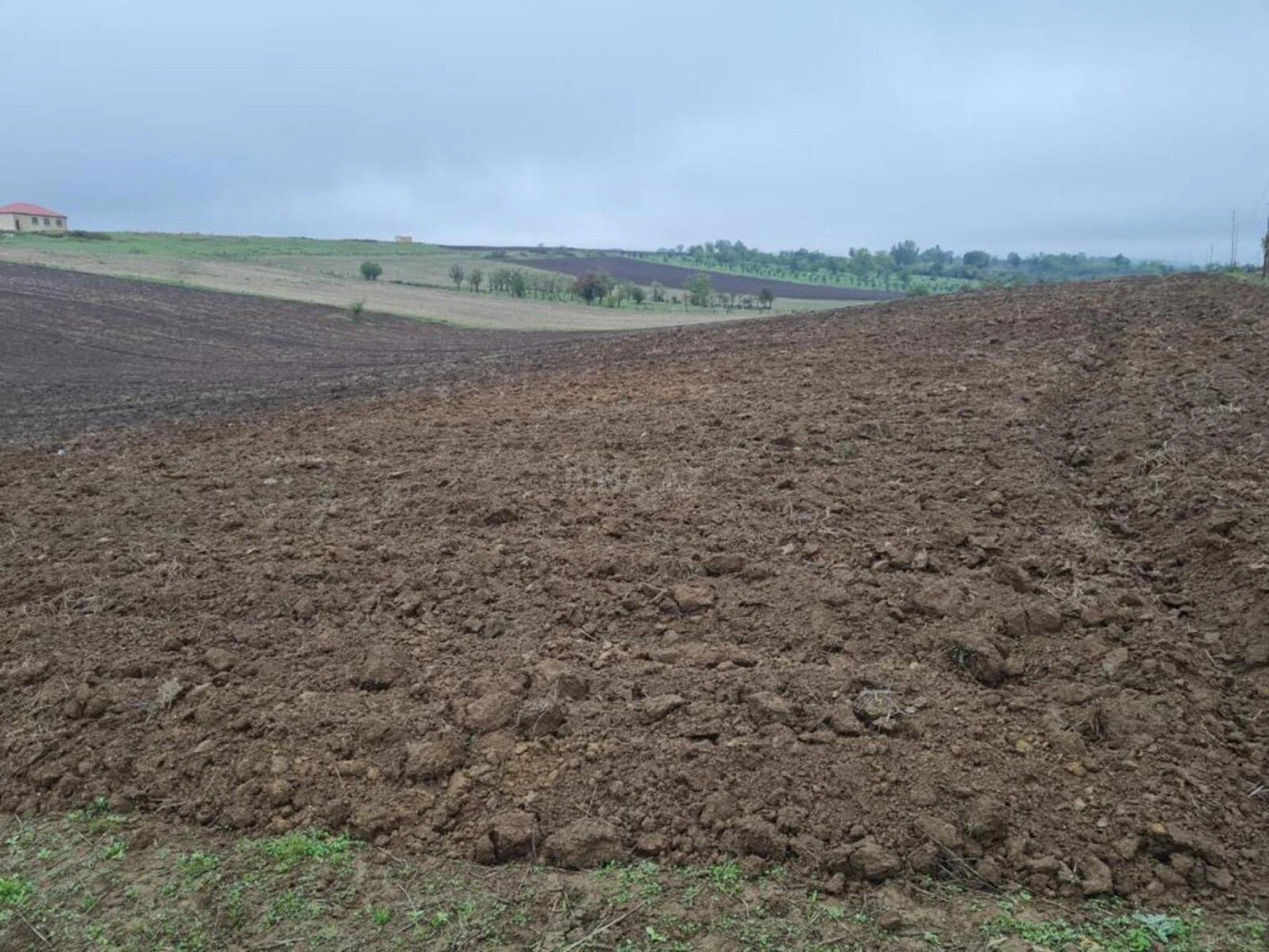 Satılır torpaq sahəsi 100 m²