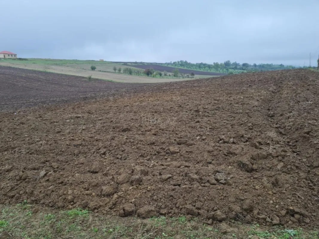 Satılır torpaq sahəsi 100 m²