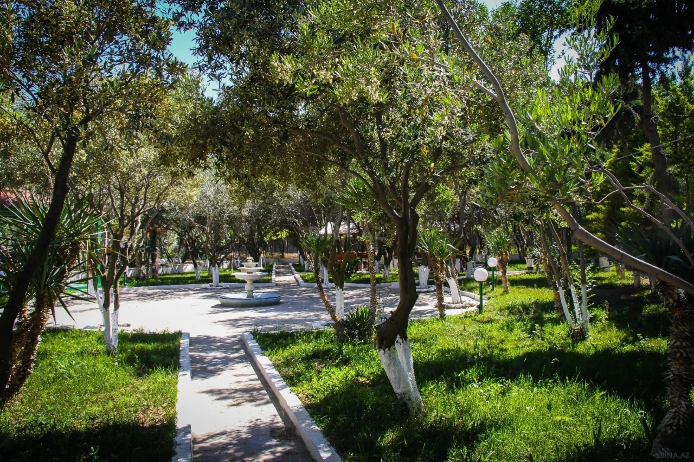 Satılır obyekt 11000 m²