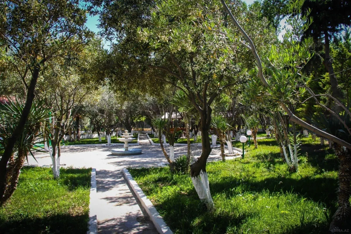 Satılır obyekt 11000 m²