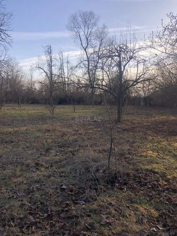 Satılır torpaq sahəsi 50 m²