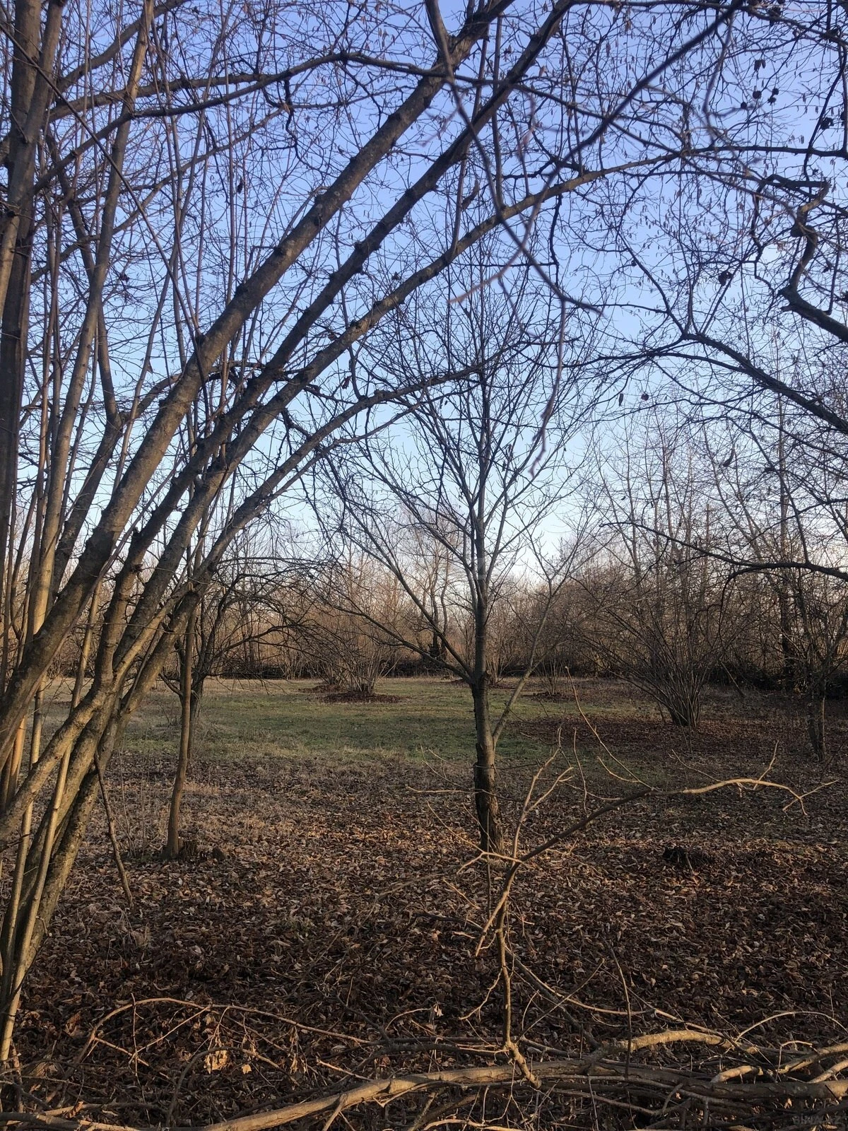 Satılır torpaq sahəsi 50 m²