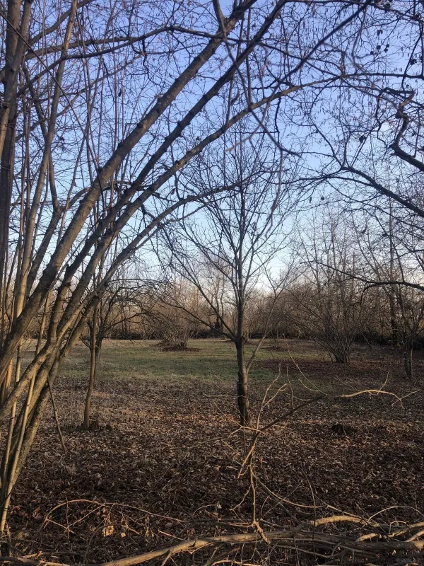 Satılır torpaq sahəsi 50 m²