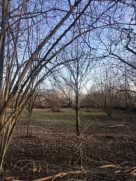 Satılır torpaq sahəsi 50 m²