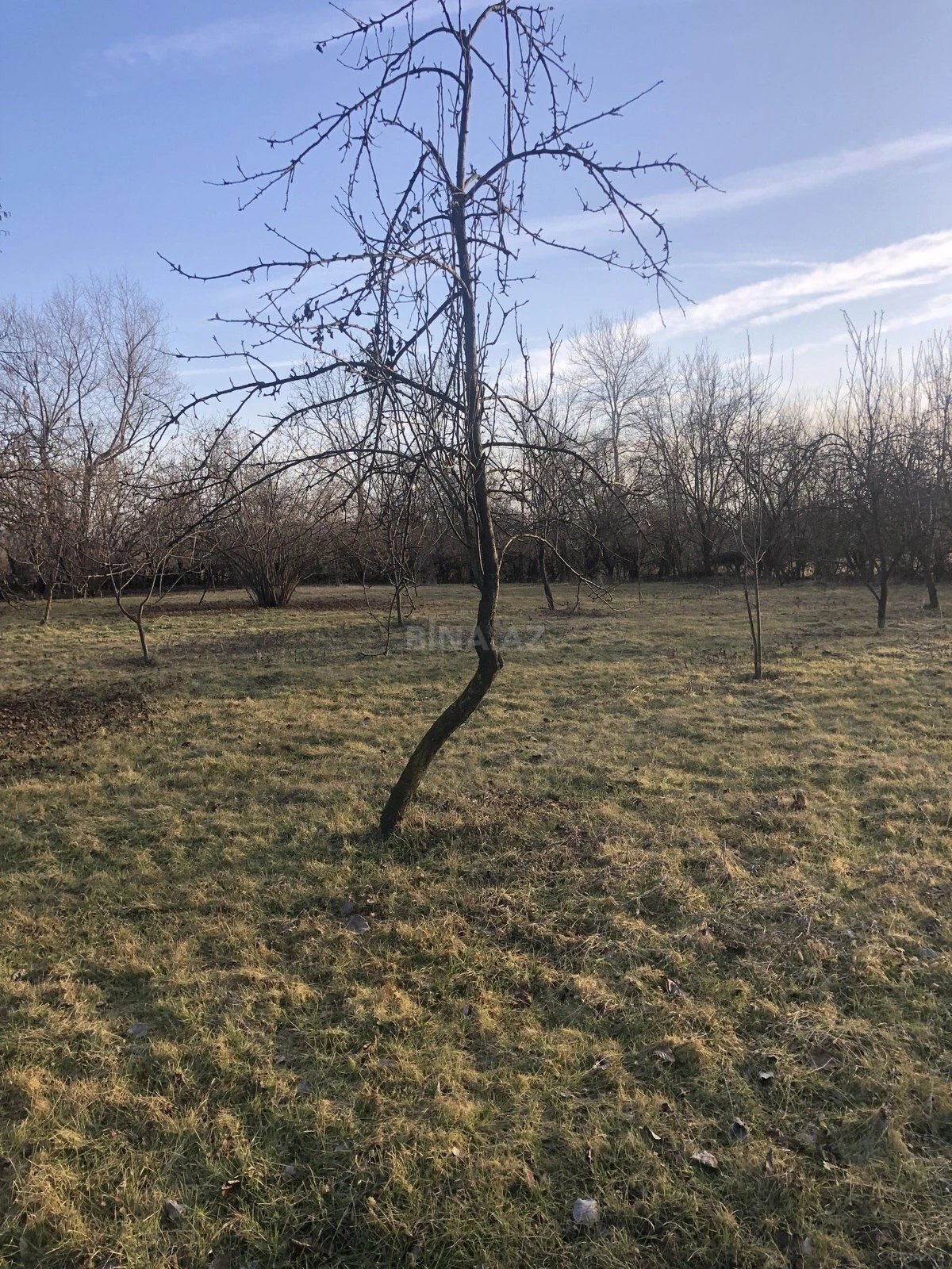 Satılır torpaq sahəsi 50 m²