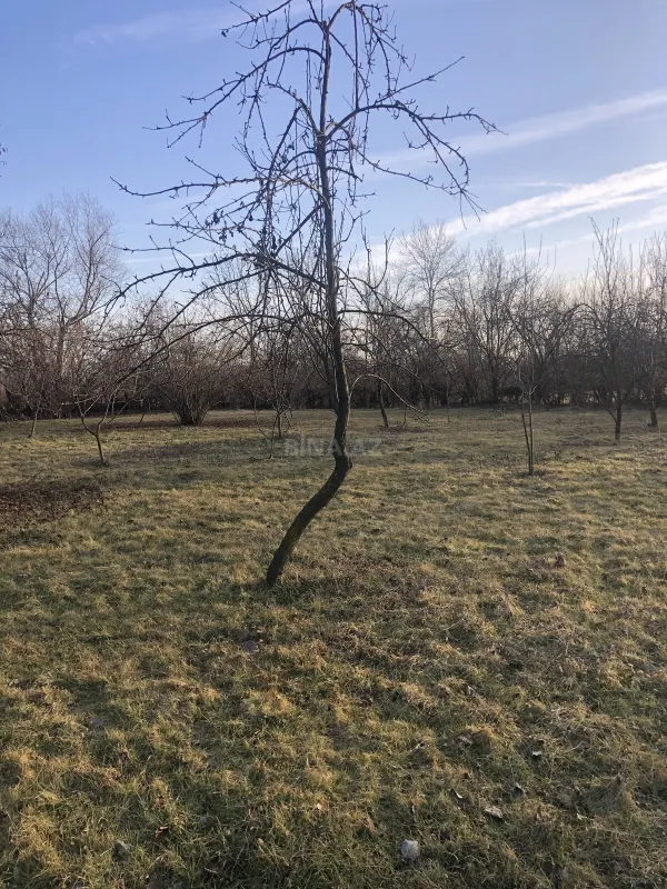 Satılır torpaq sahəsi 50 m²