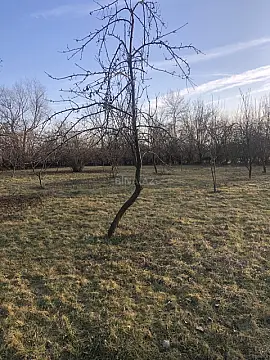 Satılır torpaq sahəsi 50 m²