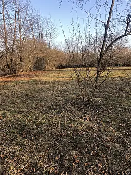 Satılır torpaq sahəsi 50 m²