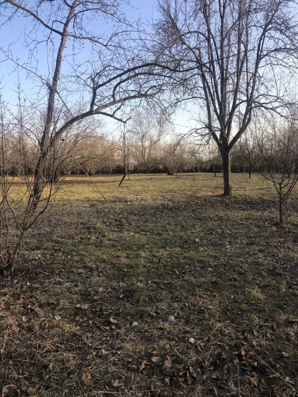 Satılır torpaq sahəsi 50 m²