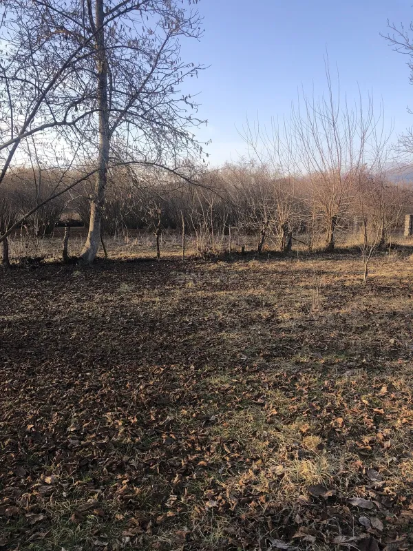 Satılır torpaq sahəsi 50 m²