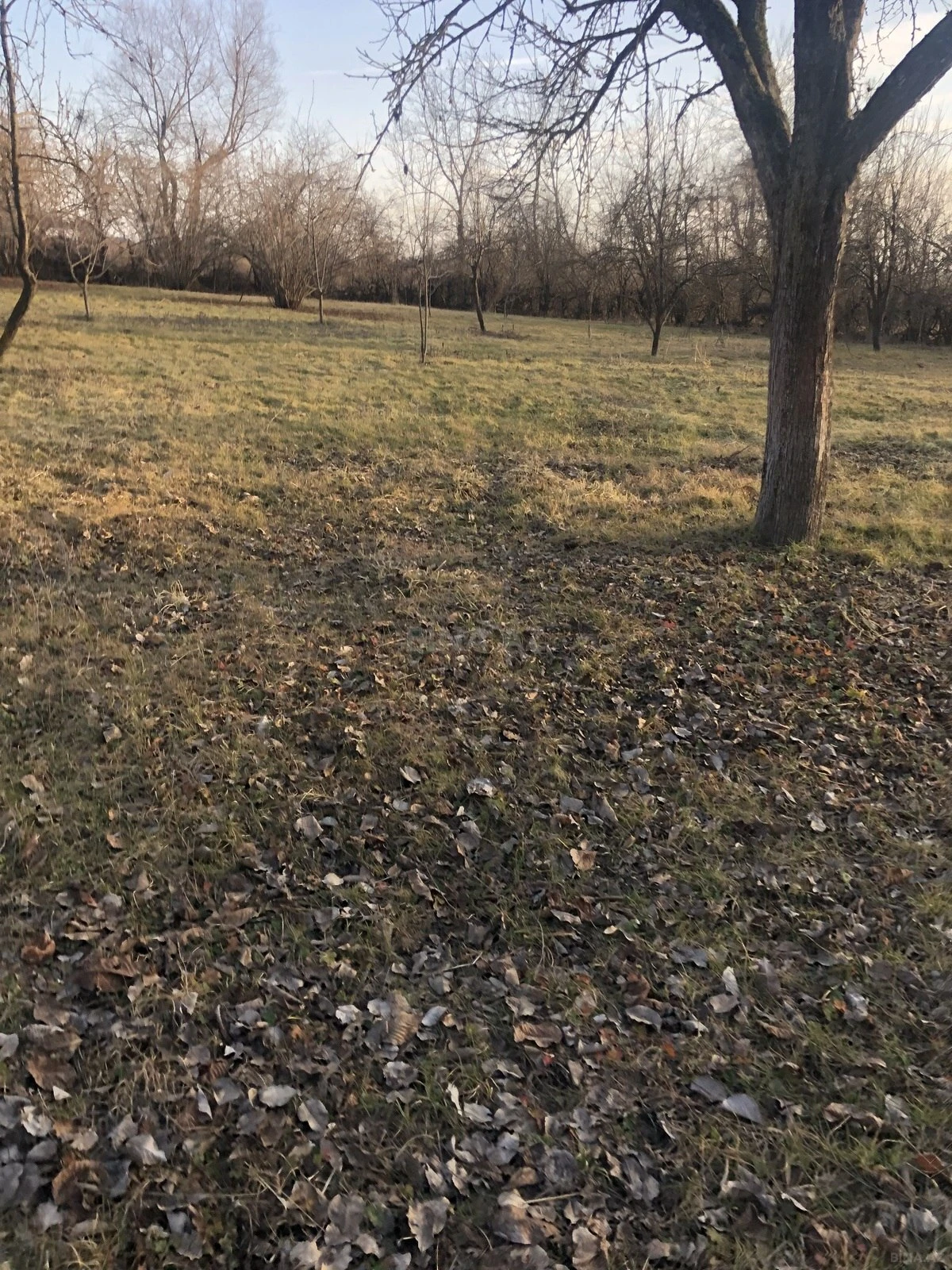 Satılır torpaq sahəsi 50 m²