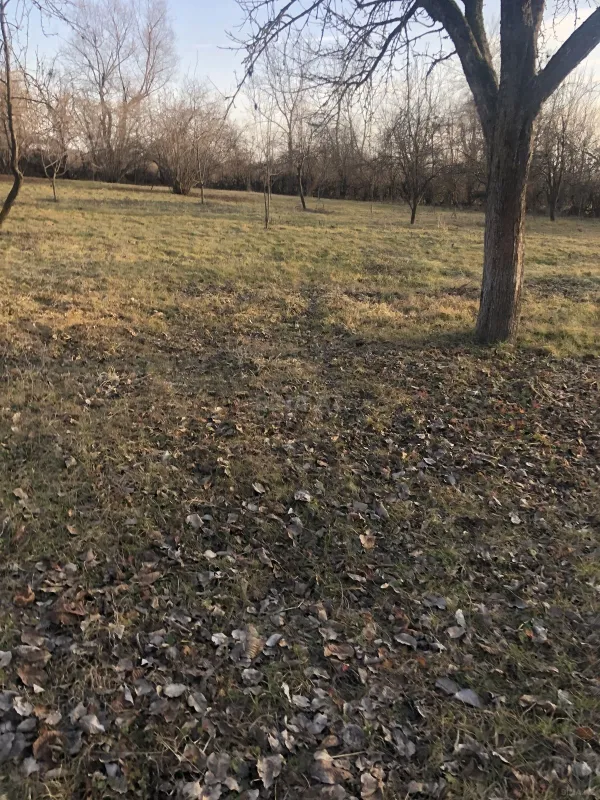 Satılır torpaq sahəsi 50 m²