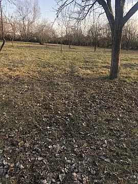 Satılır torpaq sahəsi 50 m²