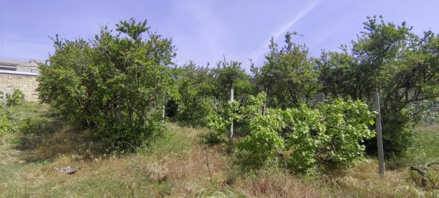 Satılır torpaq sahəsi 12 m²