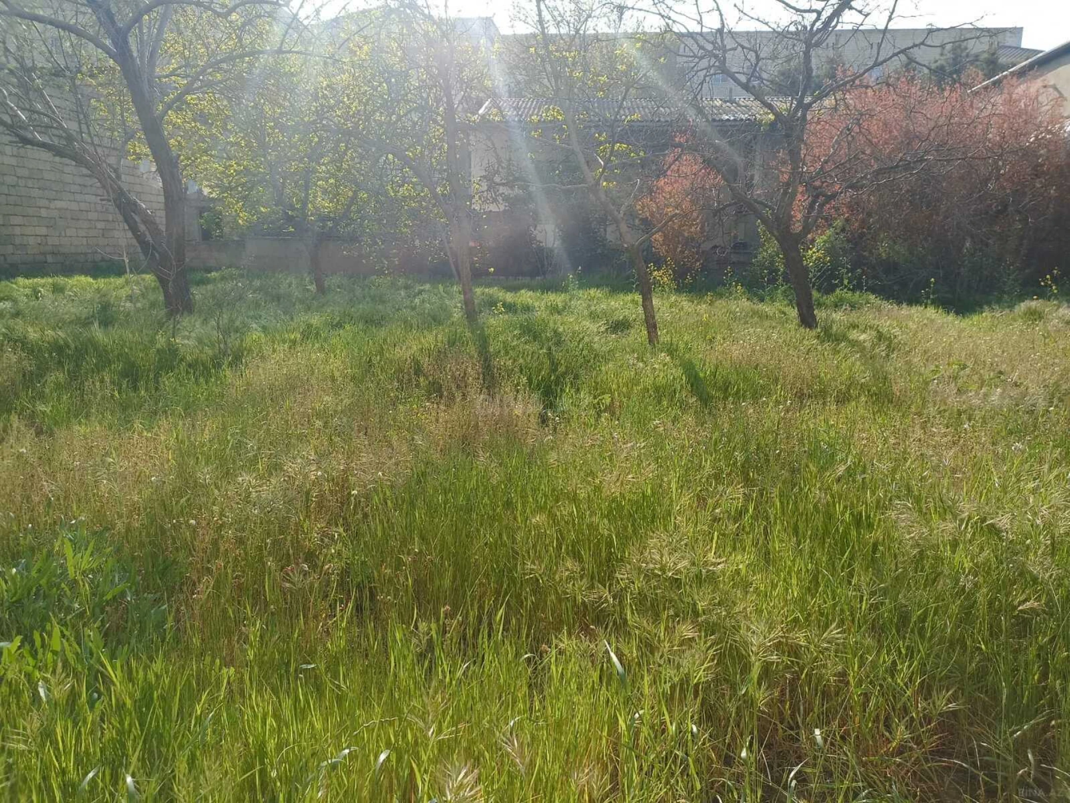 Satılır torpaq sahəsi 27 m²