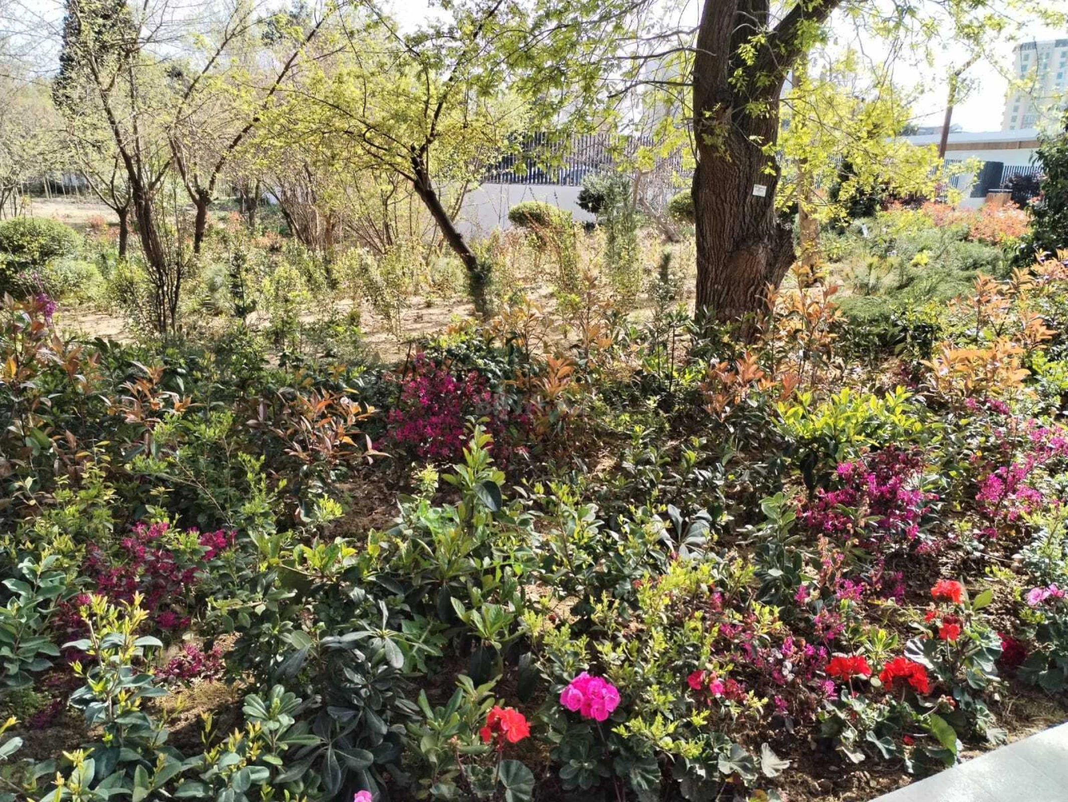 Satılır 5 otaqlı həyət evi 130 m²