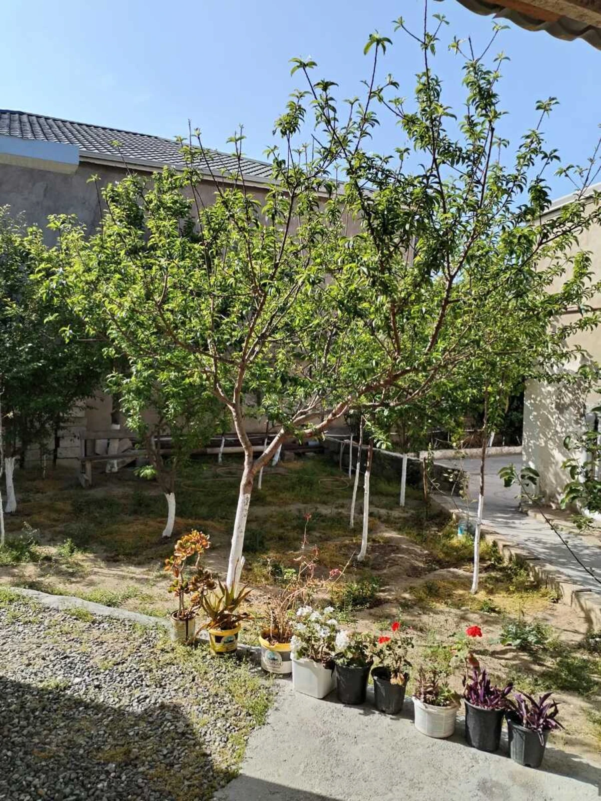 Satılır 5 otaqlı həyət evi 130 m²