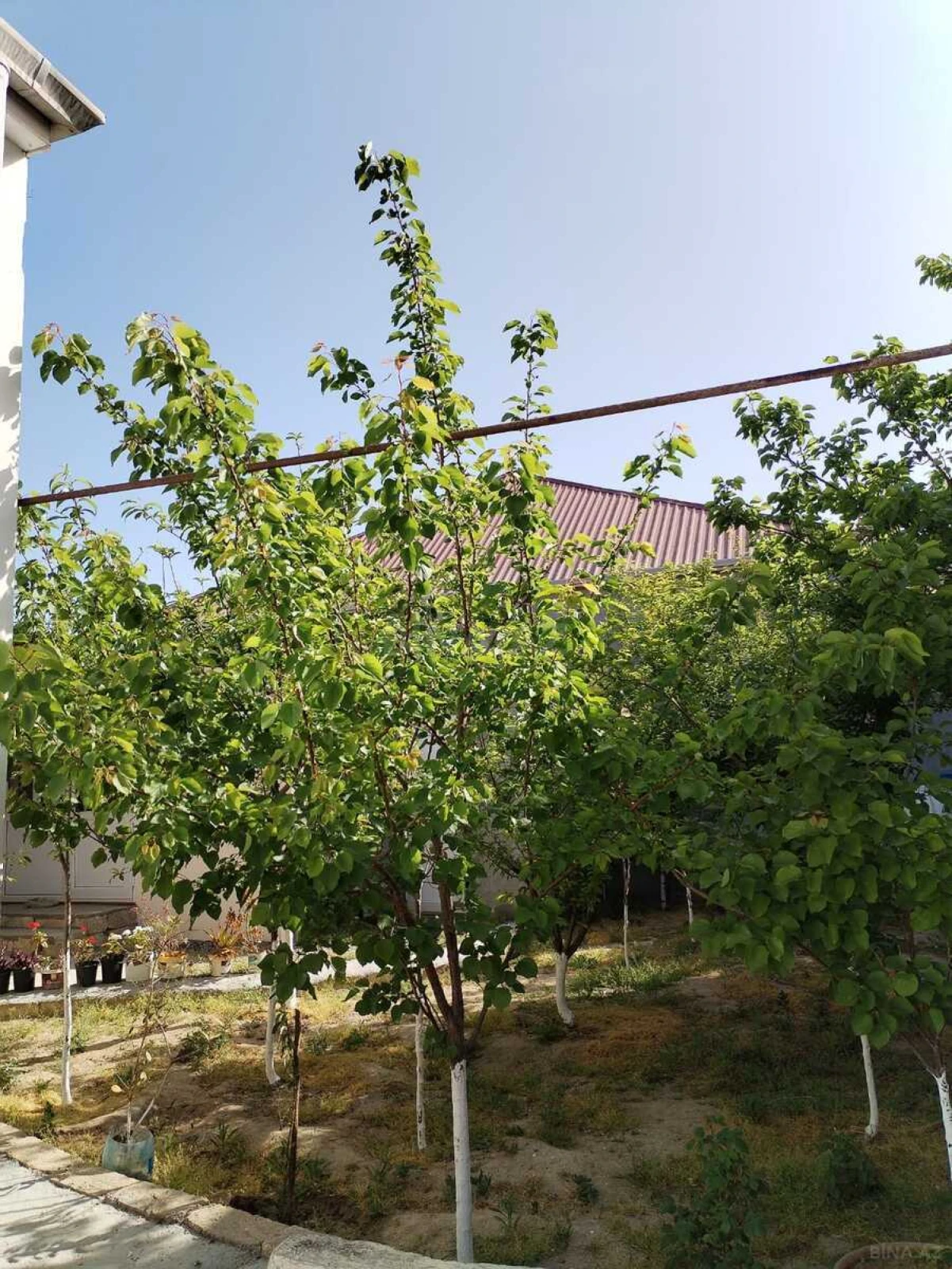 Satılır 5 otaqlı həyət evi 130 m²