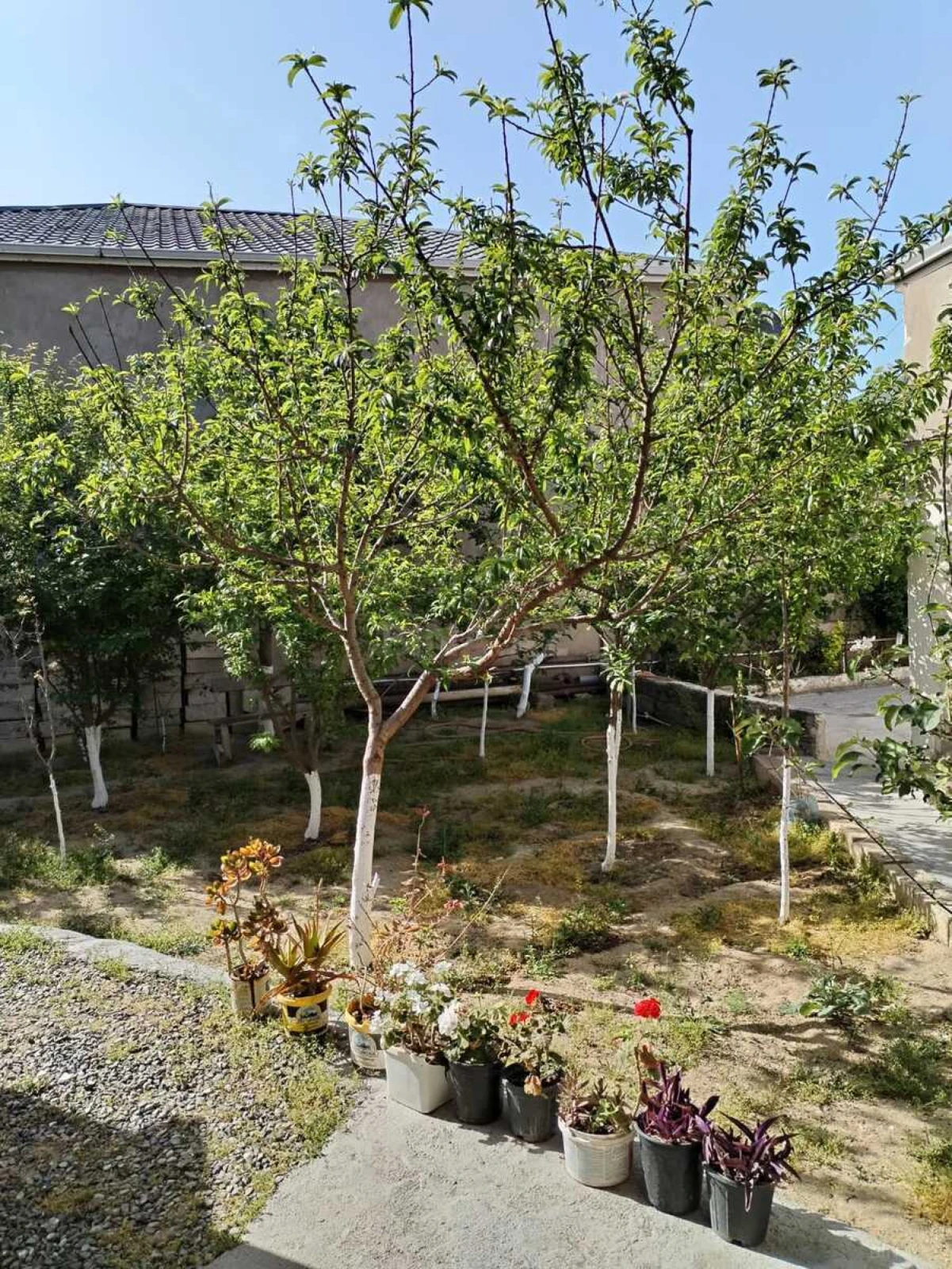 Satılır 5 otaqlı həyət evi 130 m²