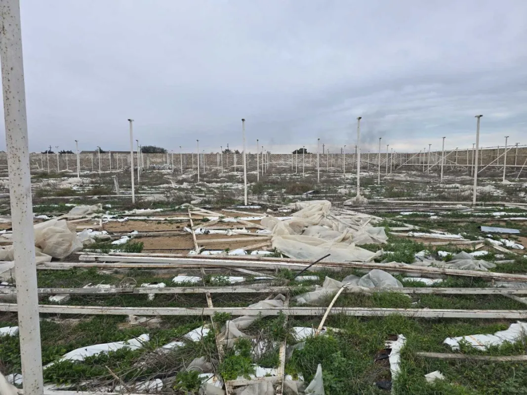 Satılır torpaq sahəsi 140 m²