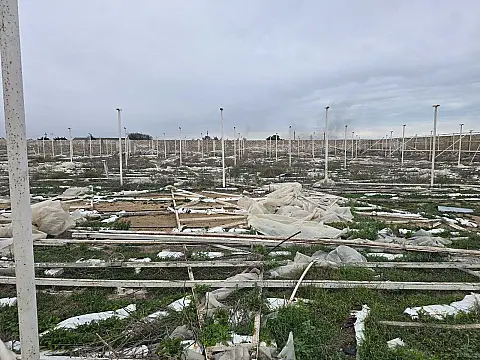 Satılır torpaq sahəsi 140 m²