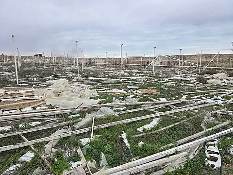 Satılır torpaq sahəsi 140 m² — Bakı, Buzovna 140.00 m²