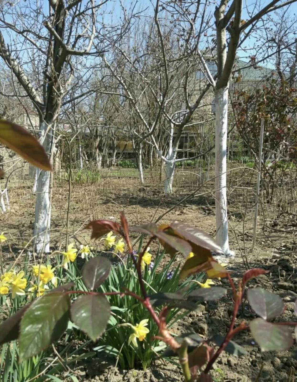 Satılır 3 otaqlı həyət evi 55 m²