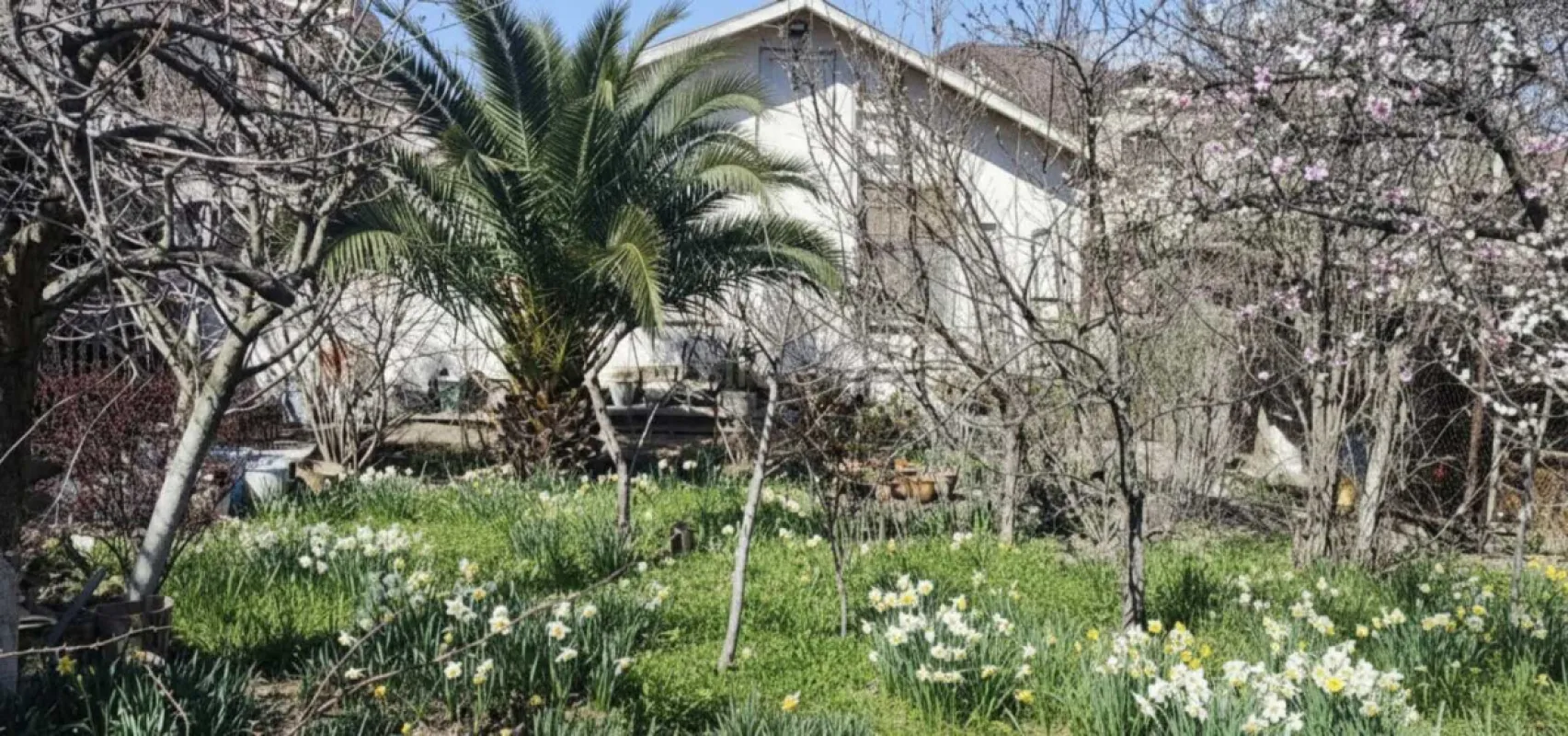 Satılır 3 otaqlı həyət evi 55 m²