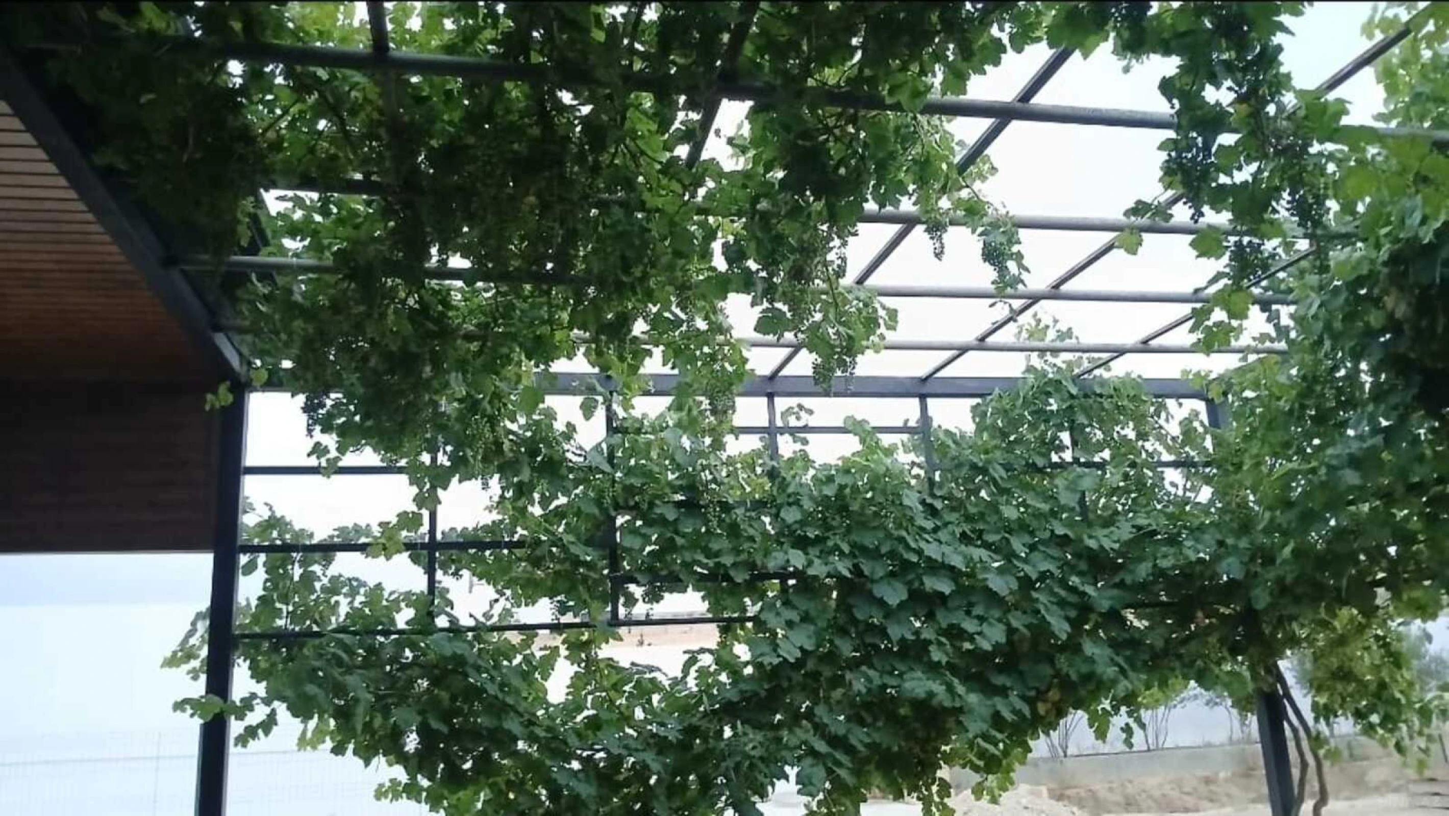 Satılır torpaq sahəsi 10 m²