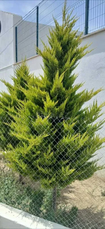 Satılır torpaq sahəsi 10 m²