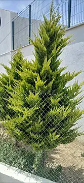 Satılır torpaq sahəsi 10 m²