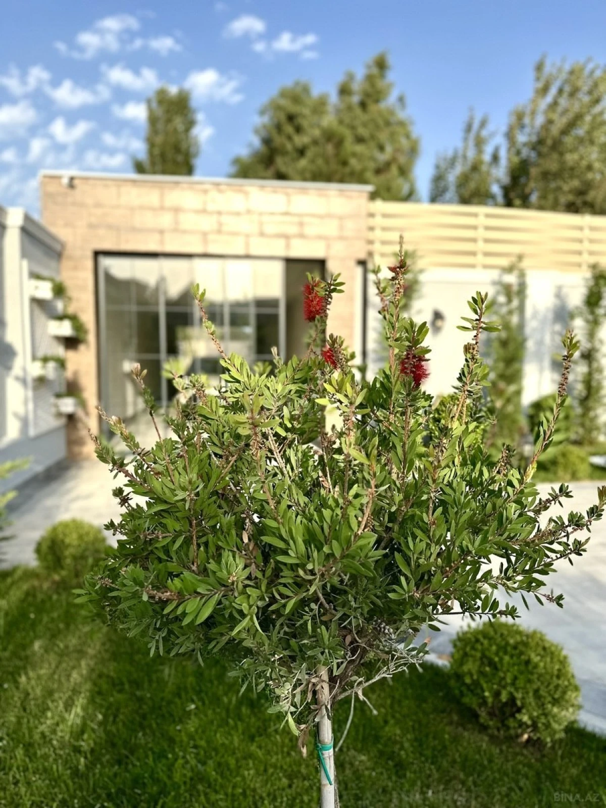 Satılır 6 otaqlı həyət evi 430 m²