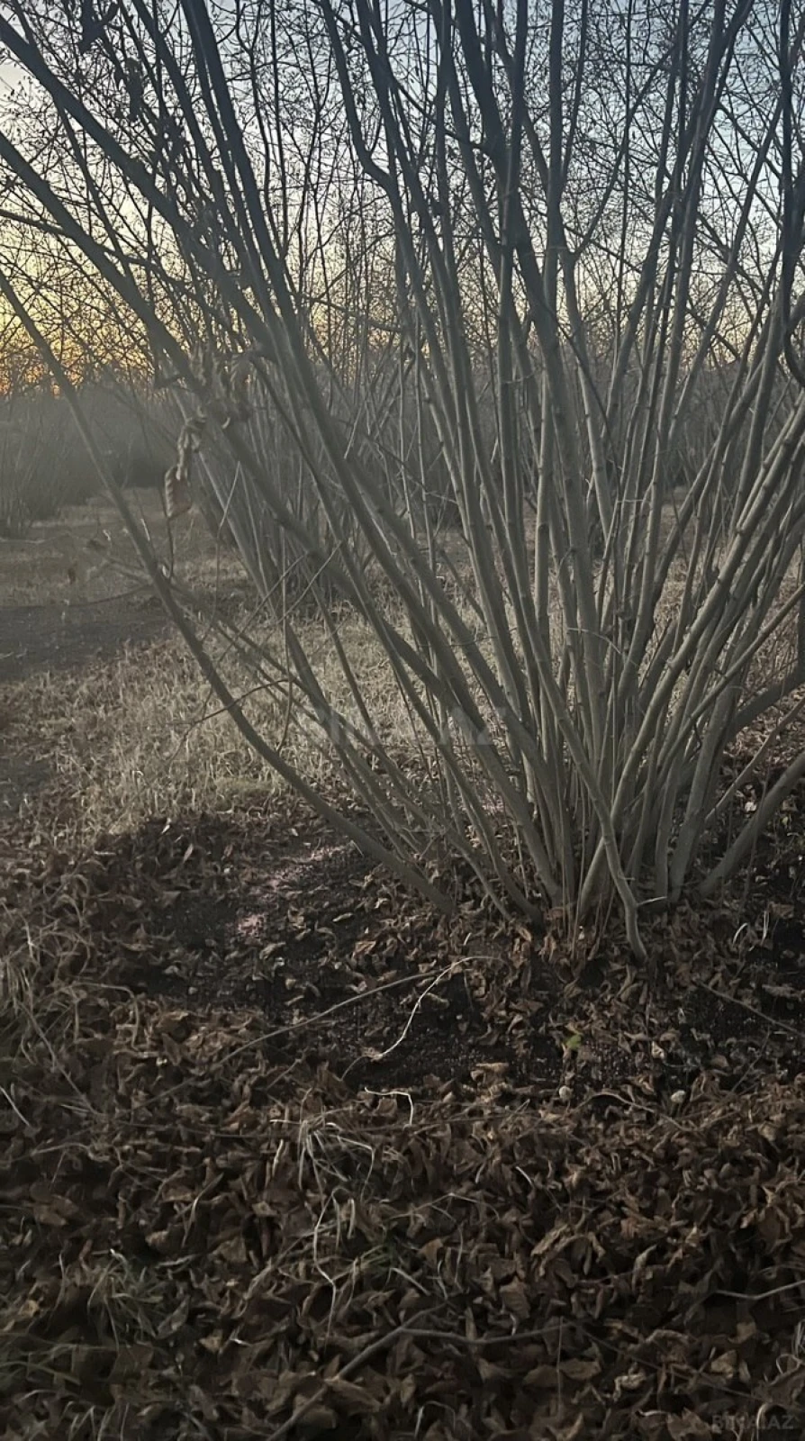 Satılır torpaq sahəsi 5.9 m²