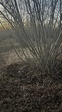 Satılır torpaq sahəsi 5.9 m² — Bakı 5.90 m²