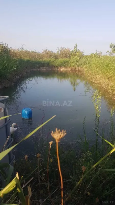 Satılır torpaq sahəsi 800 m²