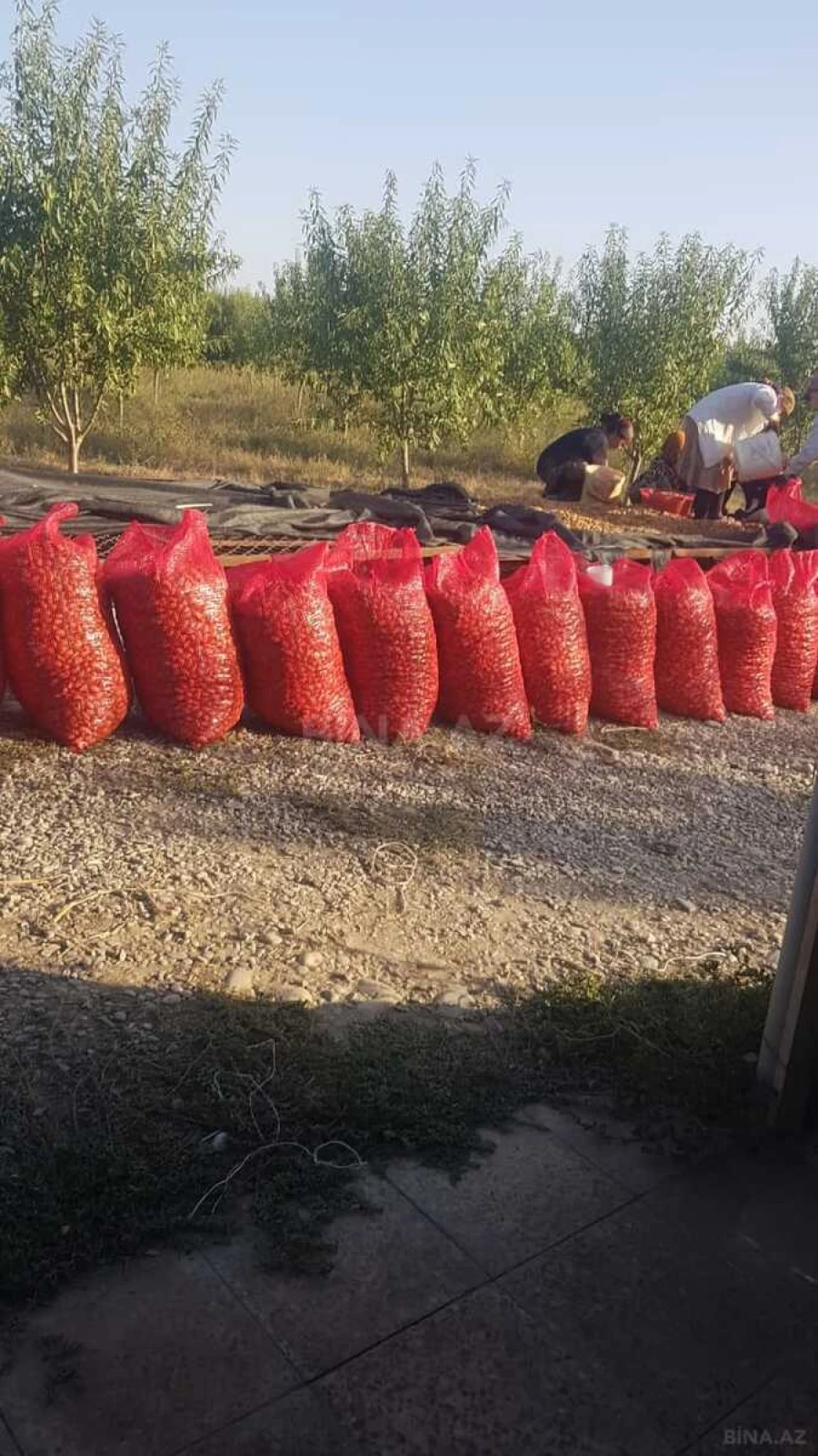 Satılır torpaq sahəsi 800 m²