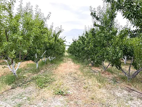 Satılır torpaq sahəsi 800 m²