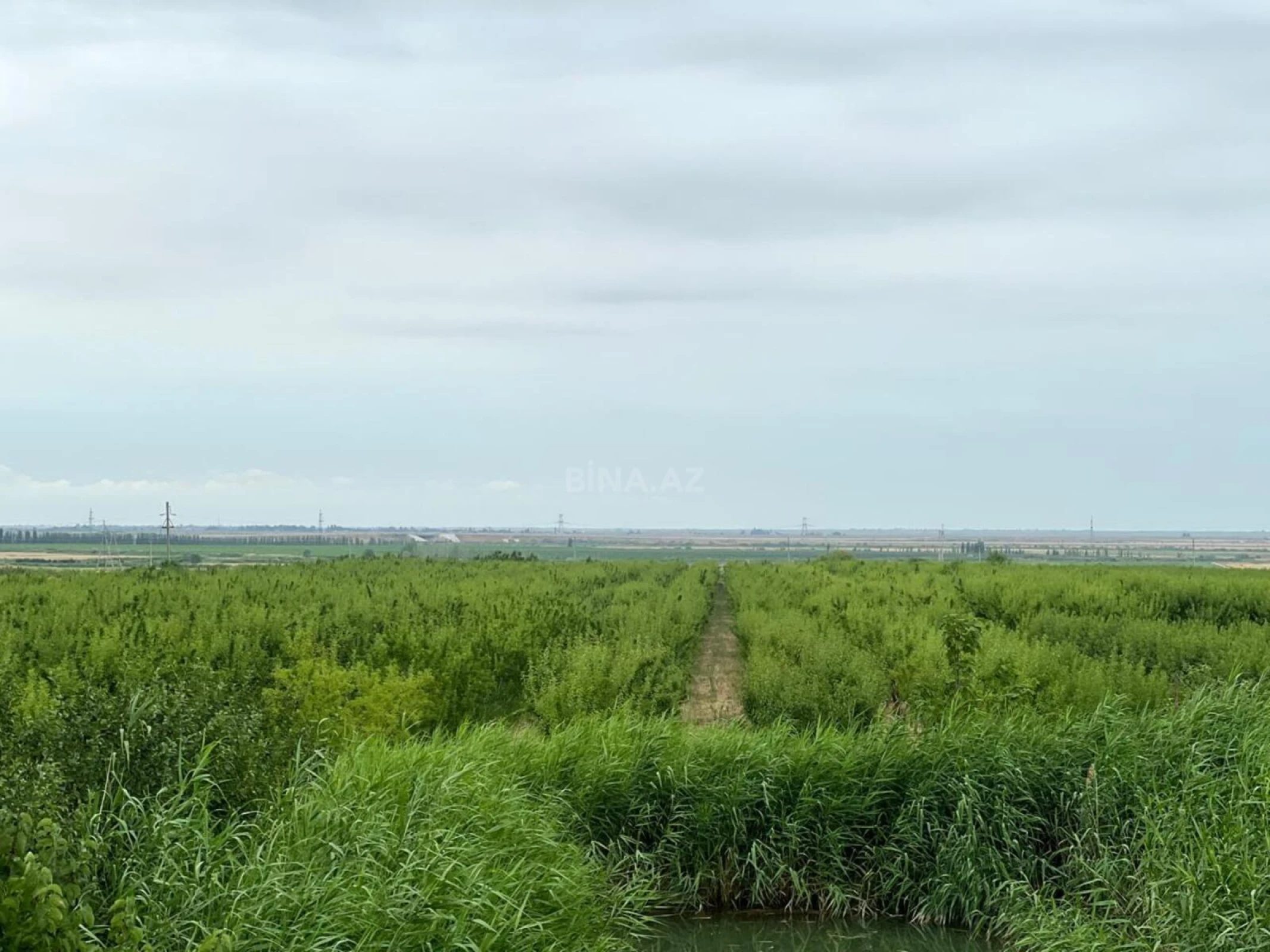 Satılır torpaq sahəsi 800 m²