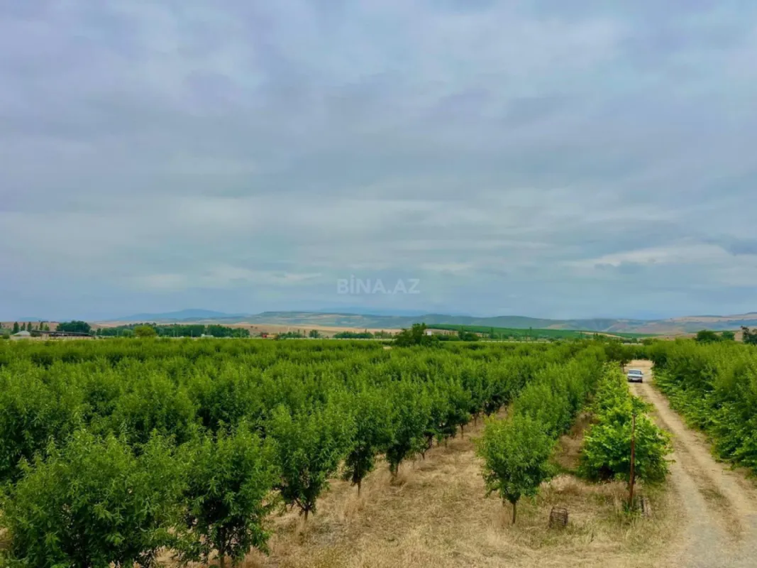 Satılır torpaq sahəsi 800 m²