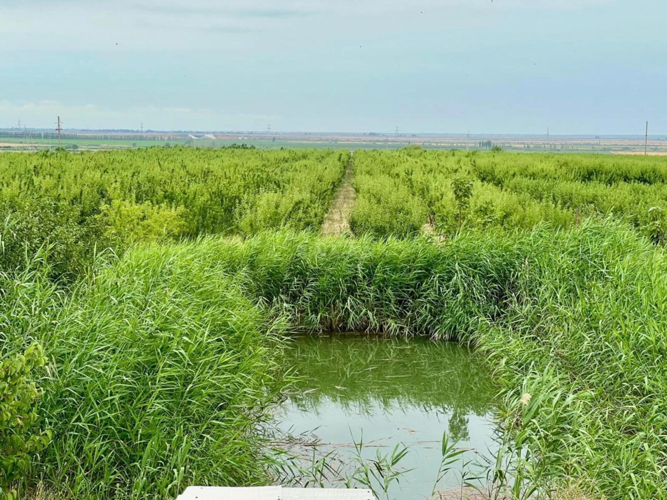 Satılır torpaq sahəsi 800 m²