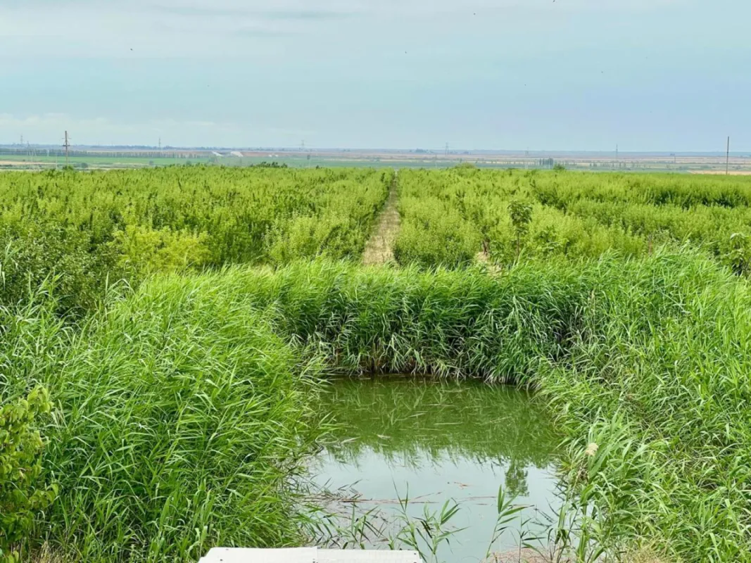 Satılır torpaq sahəsi 800 m²