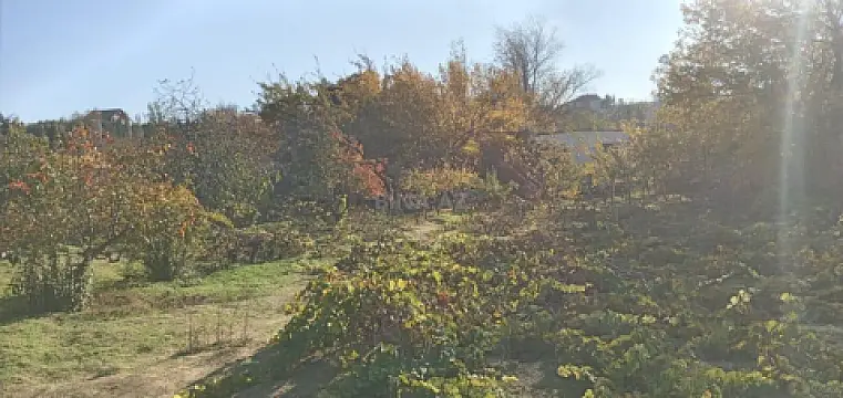 Satılır torpaq sahəsi 24 m²