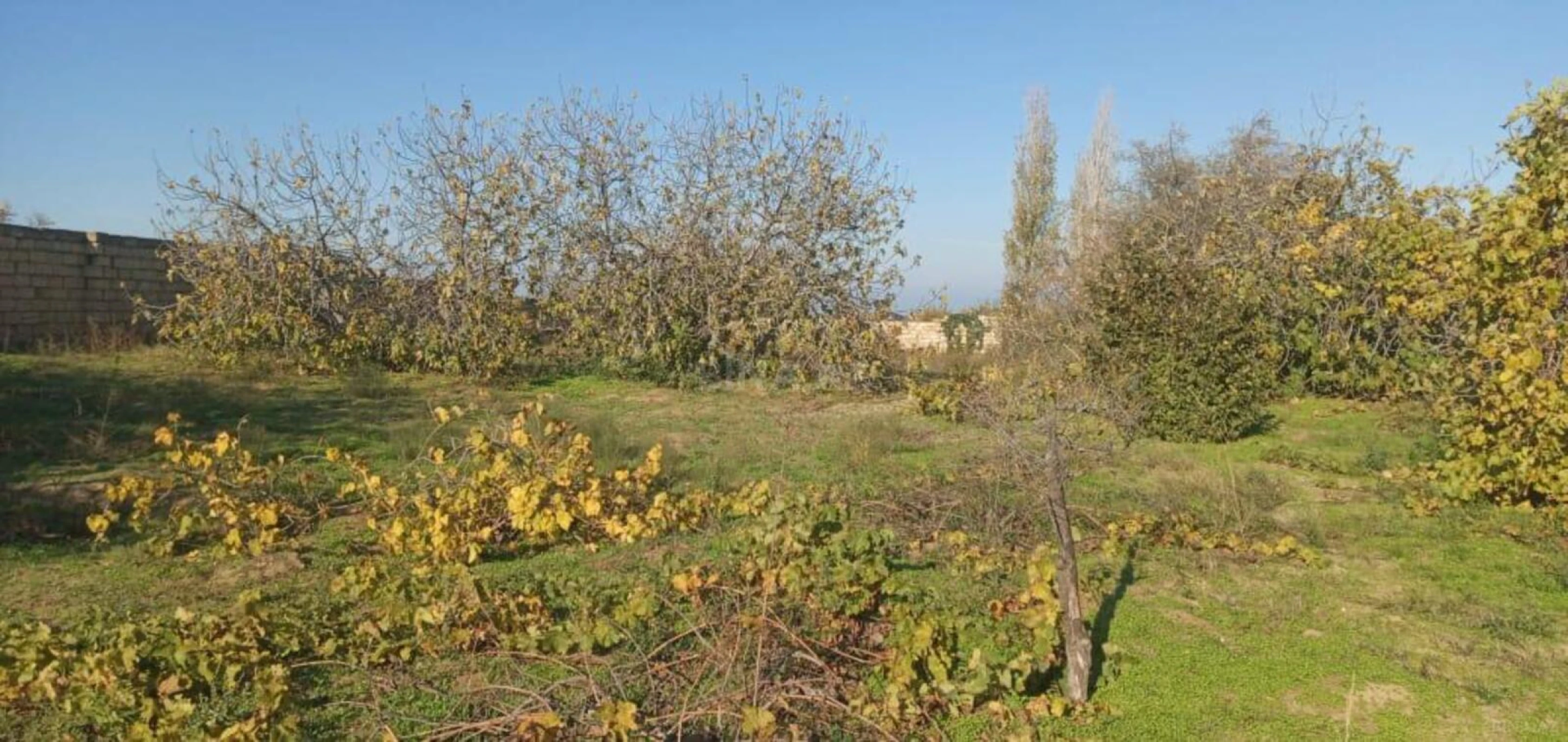 Satılır torpaq sahəsi 24 m²