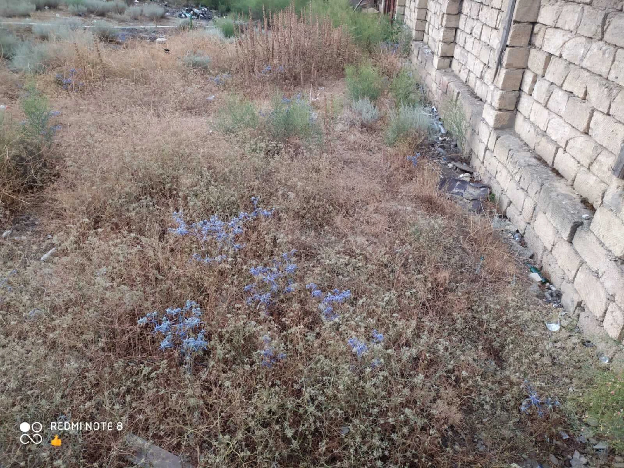 Satılır torpaq sahəsi 3.3 m²