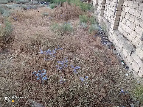 Satılır torpaq sahəsi 3.3 m² — Bakı, Badamdar 3.30 m²