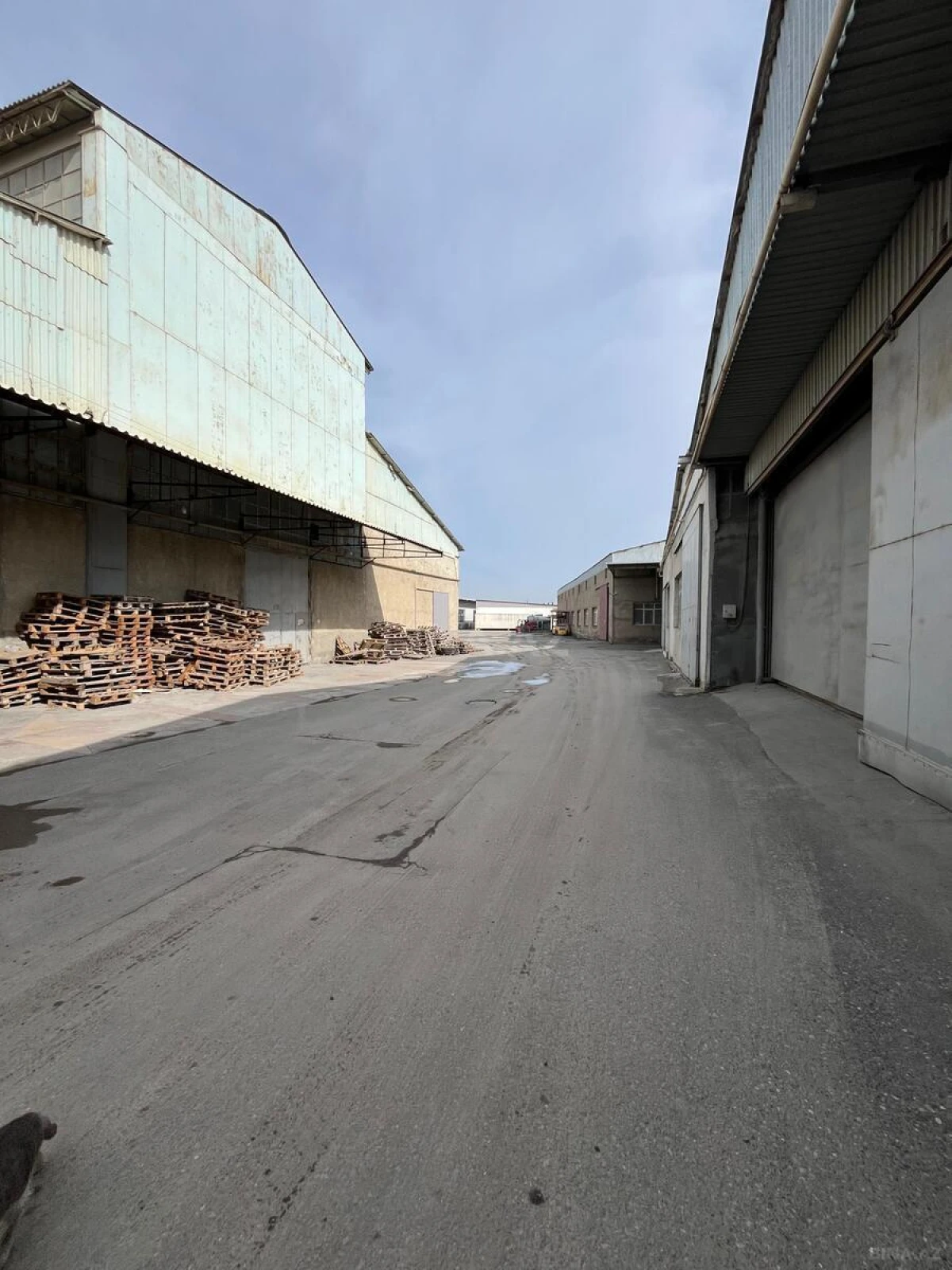 Kirayə verilir obyekt 1000 m²