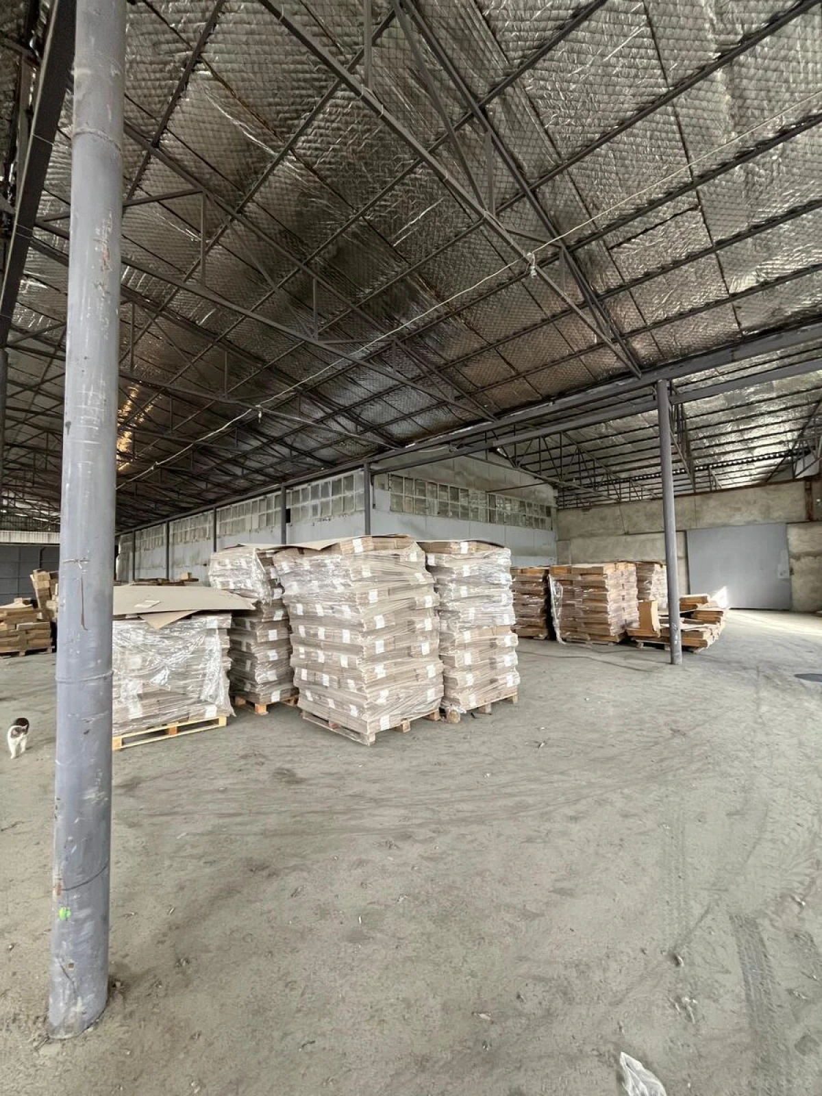 Kirayə verilir obyekt 1000 m²